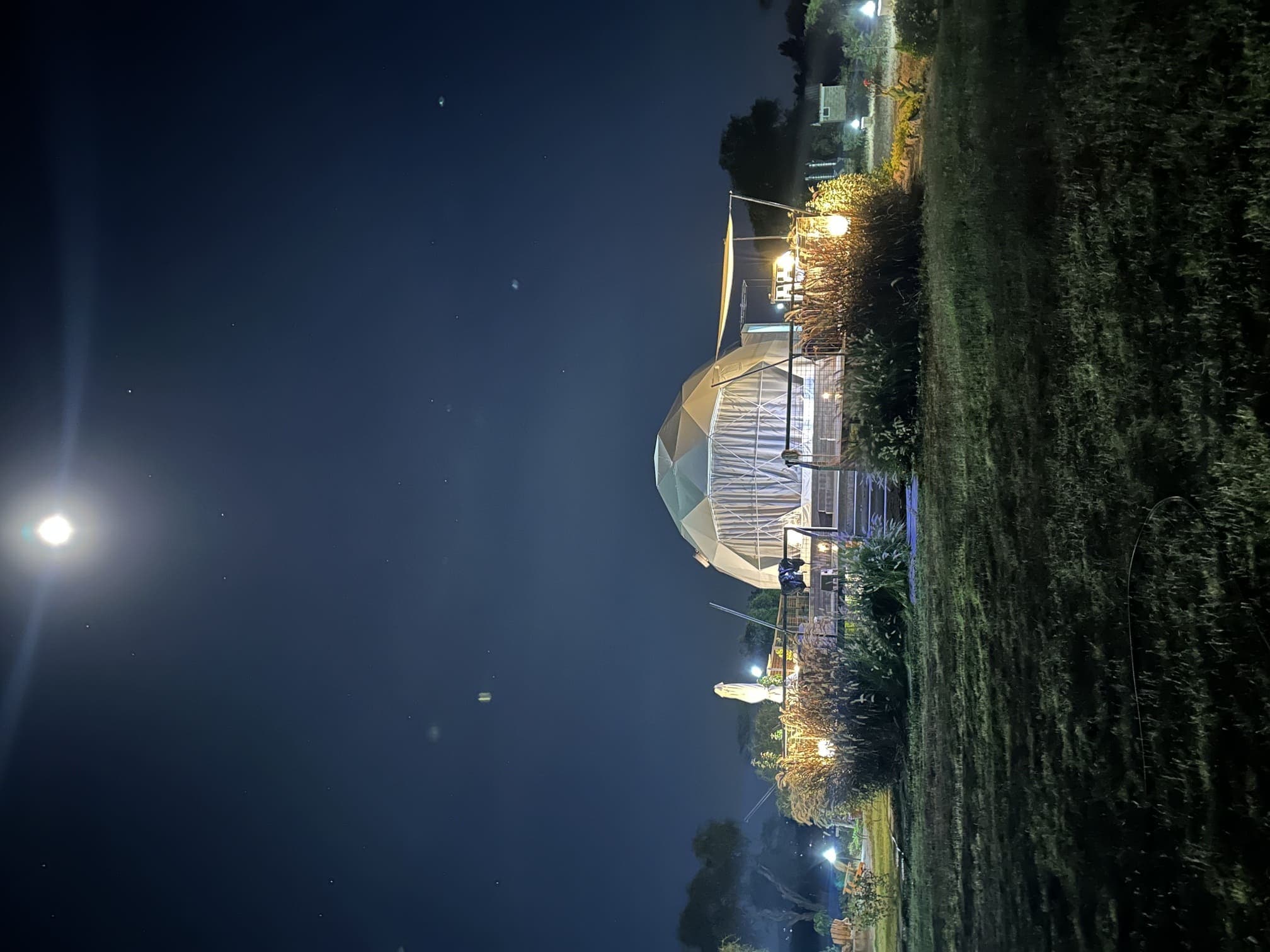 Twiga View 7