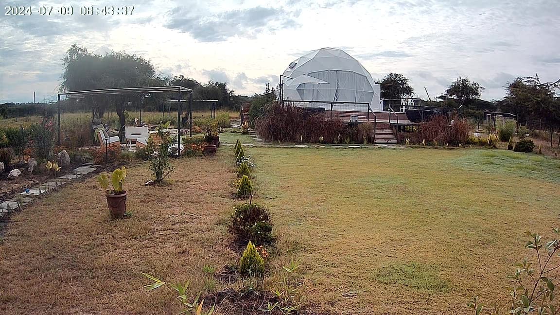 Twiga View 11