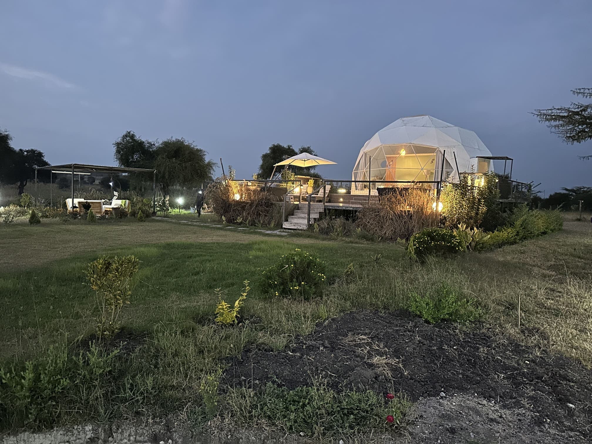 Twiga View 12