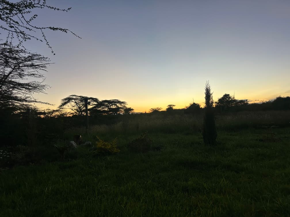 Twiga View 18