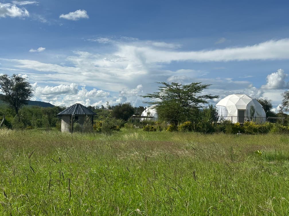 Twiga View 19
