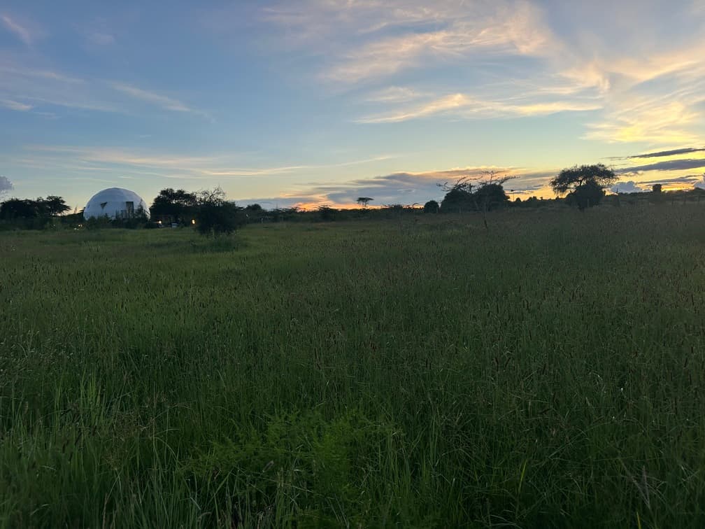 Twiga View 32